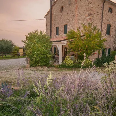 Bed & Breakfast Il Mio Casale