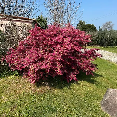 Il Mio Casale Cola (Verona)