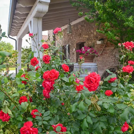 Il Mio Casale Bed & Breakfast