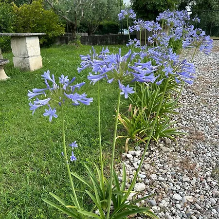 Bed & Breakfast Il Mio Casale
