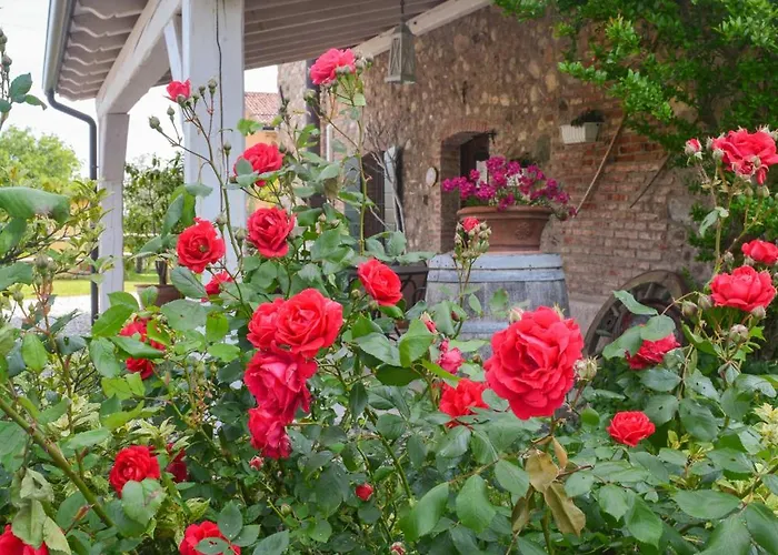 Il Mio Casale Couette-café