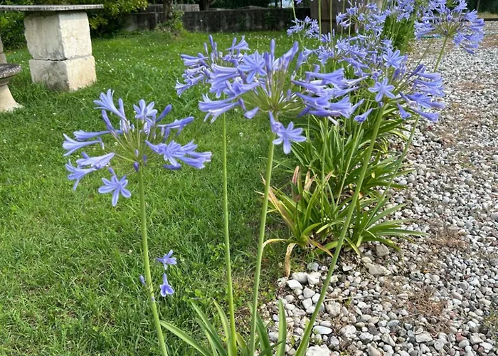 Couette-café Il Mio Casale